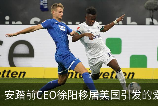 安踏前CEO徐阳移居美国引发的爱国争议