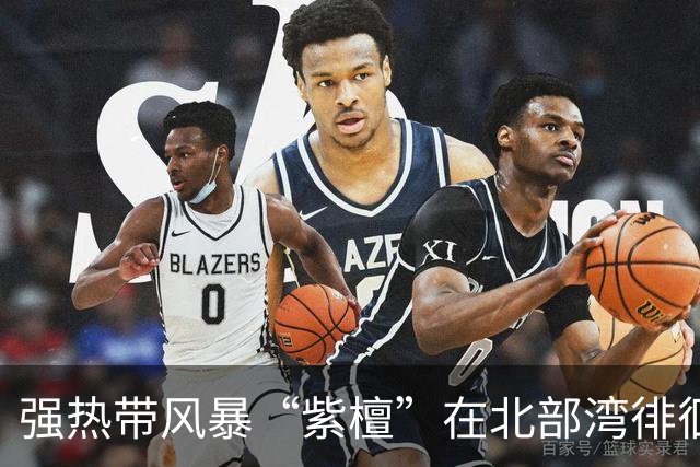 强热带风暴“紫檀”在北部湾徘徊，或将增强