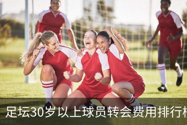 足坛30岁以上球员转会费用排行榜：C罗居首，罗德里并列第五